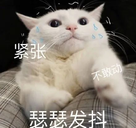 DƬ